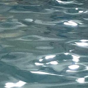 Meet your Posher, Kylie